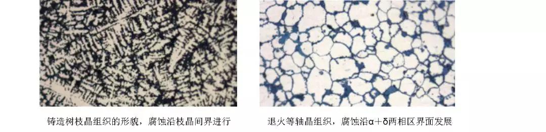 金相显微镜在文物保护中的应用